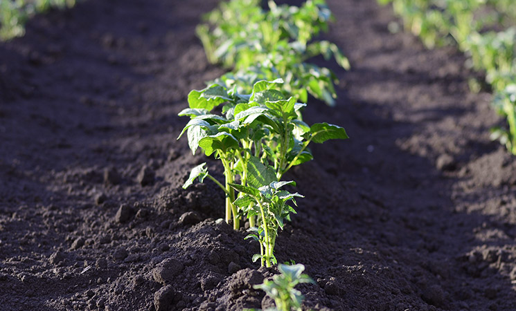 �ν��� ���� ������