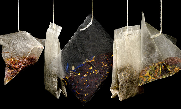 ������ �Ƹ޸�ī��